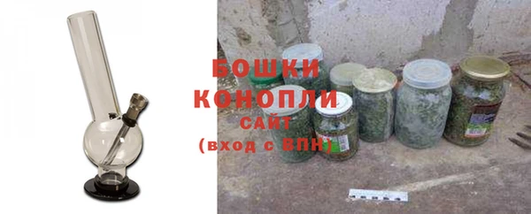 ПСИЛОЦИБИНОВЫЕ ГРИБЫ Белокуриха