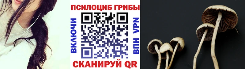 Галлюциногенные грибы Psilocybe  Бородино 